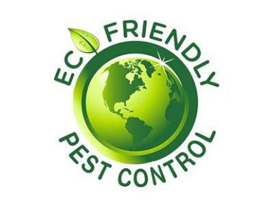 Eco1_(1)